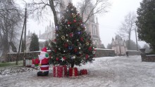 Puńsk. Piękna choinka aż z Mariampola [zdjęcia]