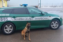 Ponad pół miliona paczek papierosów zamiast torfu [wideo i zdjęcia]