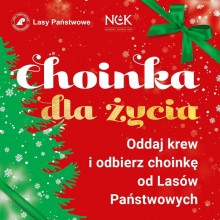 Oddaj krew i odbierz choinkę od Lasów Państwowych! 