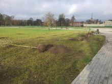 W piątek sadzenie drzew na Bulwarach nad Czarną Hańczą. Każdy może dołączyć