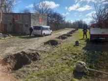 Przerośl. Sadzą drzewa 