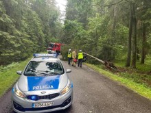 Wypadek w Bryzglu. Kierująca uderzyła w drzewo