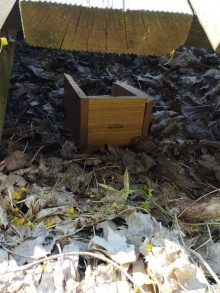 Puńsk. 39 - latek ukradł z kościoła skarbonkę