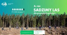 Ponad 70 tys. prawdziwych drzew od CAL. Wielkie sadzenie już w poniedziałek