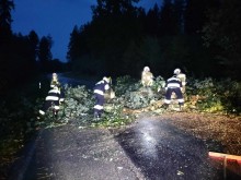 Burza w regionie. Strażacy usuwali połamane drzewa, niebezpiecznie było na Wigrach [zdjęcia]