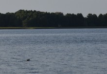 Filipów. W Mieruniszkach, kosztem 355 tys. zł, powstanie oświetlona plaża