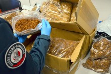 Przesyłki kurierskie z nielegalnym tytoniem. Zamawiających też czeka mandat lub grzywna