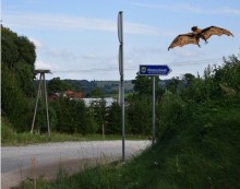 Gmina Rutka – Tartak musi zmienić dokumentację na drogę w Jodoziorach, bo obok śpi nietoperz