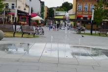 Suwałki. Jedna oferta na tworzenie nowych terenów zielonych i ochronę bioróżnorodności w mieście