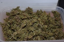 Marihuana w mieszkaniu 44-latka