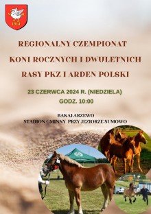 Pokazy koni w Bakałarzewie