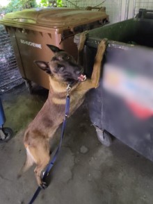 Z zazdrości ukradł telefon byłej partnerki i wyrzucił go do śmietnika