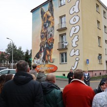 Nowy mural w Augustowie przypomina o bezdomnych psach. Schronisko Sonieczkowo ma już 10 lat [foto]