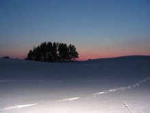 Szypliszki. Znamy laureatów konkursów fotograficznego oraz na logo
