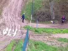 Emeryci z Wielkiej Brytanii chcieli zobaczyć polsko-rosyjską granicę. Mandaty na 600 zł [wideo, fot]