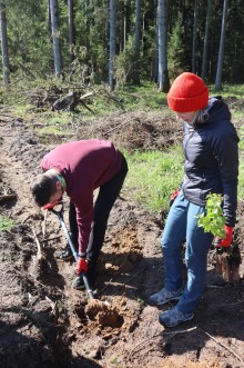 Społeczność szkoły w Płocicznie-Tartak obchodziła Dzień Ziemi [zdjęcia]