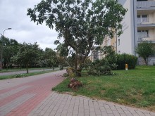 Silny wiatr w Suwałkach i regionie. Powiało, poprzewracało, połamało
