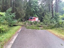 Zalane ulice, połamane drzewa. Stan po burzy na Suwalszczyźnie