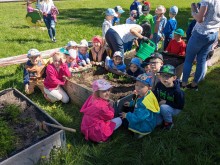 Puńsk. Przedszkolaki posadziły warzywa [zdjęcia]