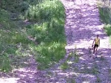 Ciekawski turysta z Niemiec ukarany dwoma mandatami