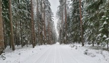 Na Suwalszczyźnie silne mrozy przynajmniej do wtorku. Wreszcie prawdziwa zima