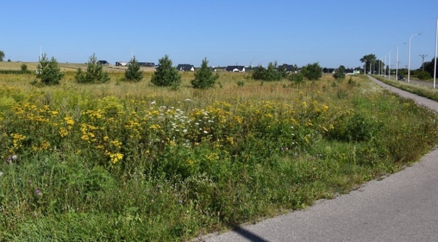 Suwałki. Przetarg unieważniony, budowa ulicy Szymborskiej musi trochę poczekać