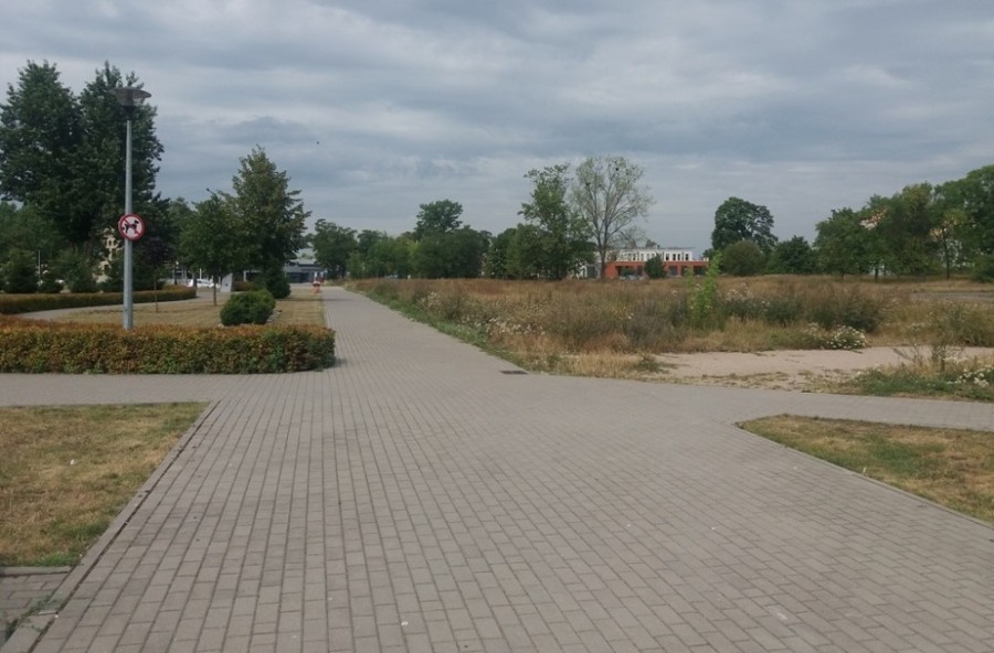 Więcej zieleni w Suwałkach. Zagospodarowanie terenu przy Aquaparku pochłonie prawie 900 tys. zł 