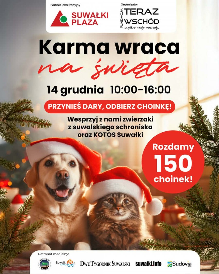Karma wraca na Święta - wesprzyj zwierzęta ze schroniska  i odbierz żywą choinkę.