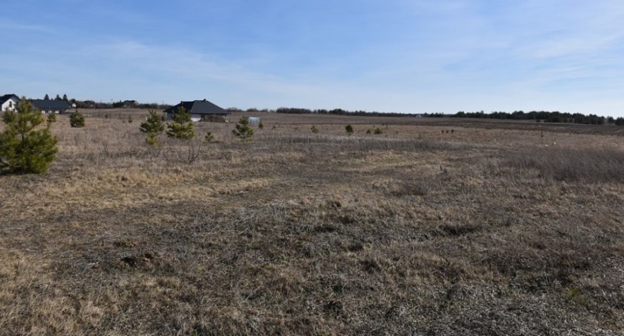Działki budowlane dla młodych w Suwałkach za pół ceny. Wkrótce przetarg [zdjęcia]