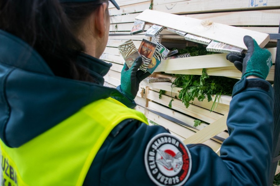 Budzisko. Papierosy przemycane w gruzińskiej ciężarówce z natką pietruszki wywąchał służbowy pies