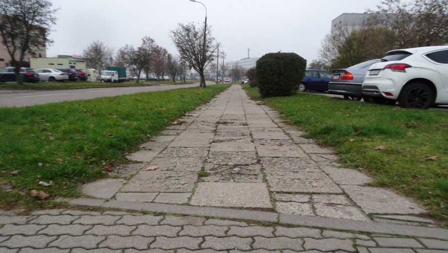 Suwałki.  Sześć  ofert na budowę ścieżki pieszo-rowerowej przy ul. Witosa i Reja [zdjęcia]