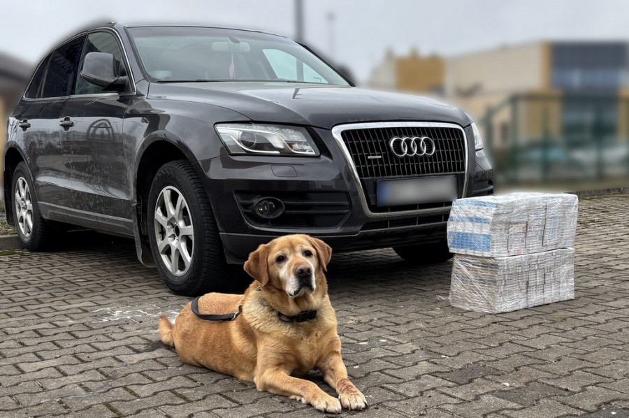 Okolice Sejn. Pies wywąchał nielegalne papierosy