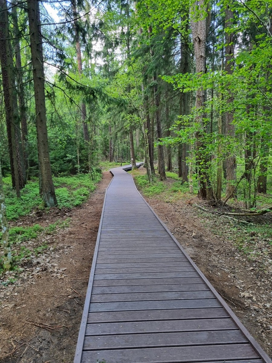 Nowe kładki nad Wigrami