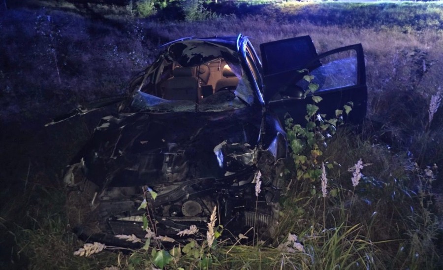 Łoś wbiegł pod samochód na drodze Suwałki - Augustów. Kierowca uszedł z życiem