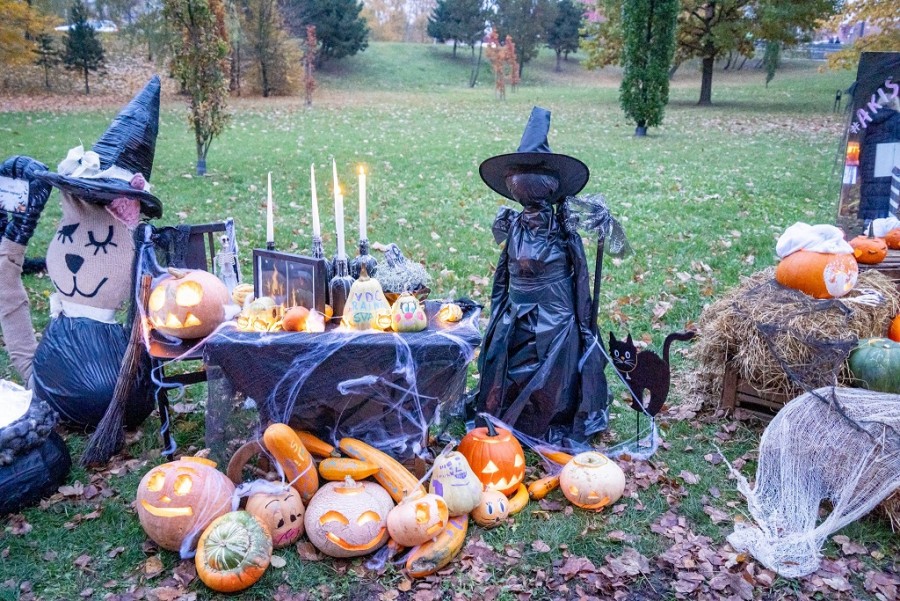 Wybierz się do Mariampola. Park Świecących Dyń [zdjęcia]