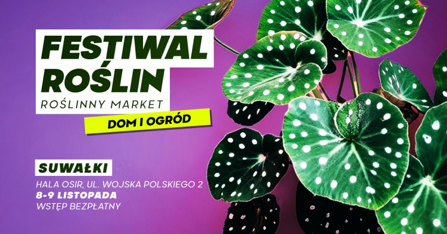 Jesienna edycja Festiwalu Roślin w Suwałkach! 