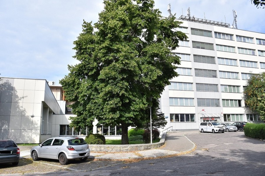 Zielona strefa przy III LO w Suwałkach. Huśtawka, leżanki, więcej drzew i krzewów [zdjęcia]