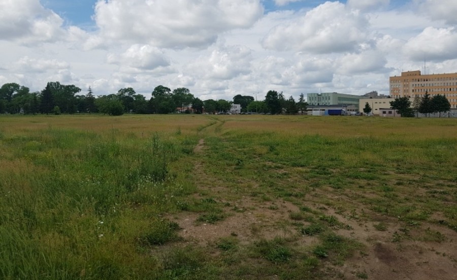 Siedem ofert na Park Miejski przy ul. Świerkowej w Suwałkach. Może on kosztować 2,3 mln zł 