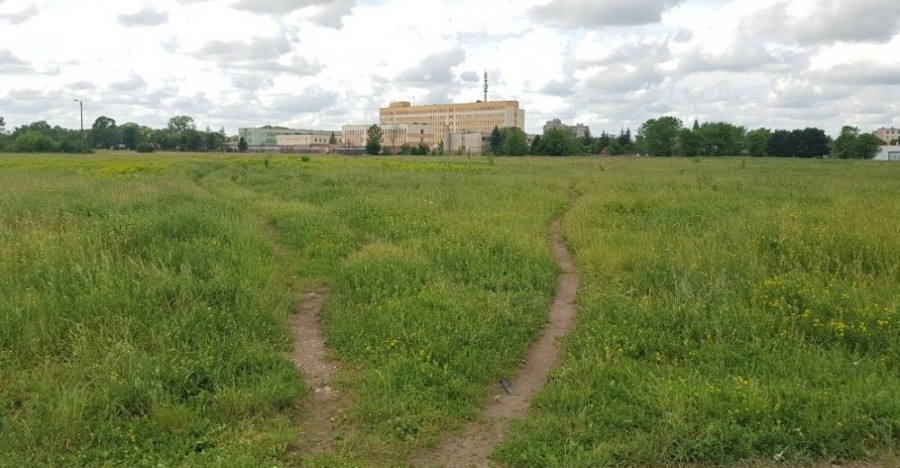 Firma z Suwałk za 2,5 mln zł zbuduje park przy Świerkowej i Nowomiejskiej