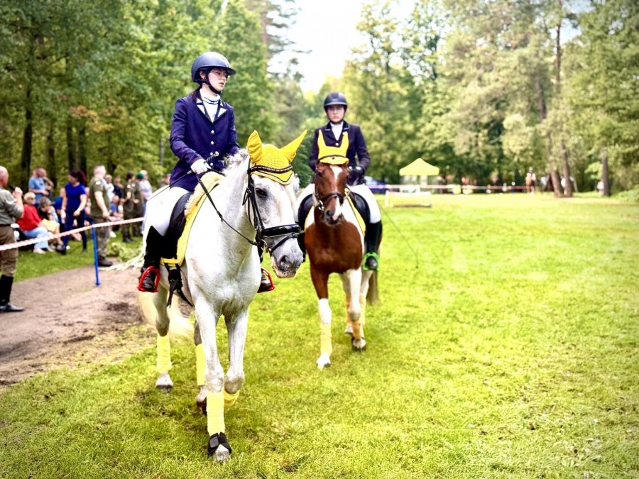 Konno przez Puszczę Augustowską [zdjęcia]