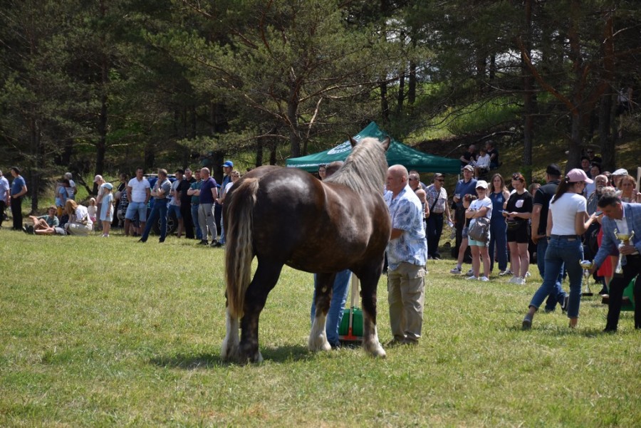 dsc_1262.jpg