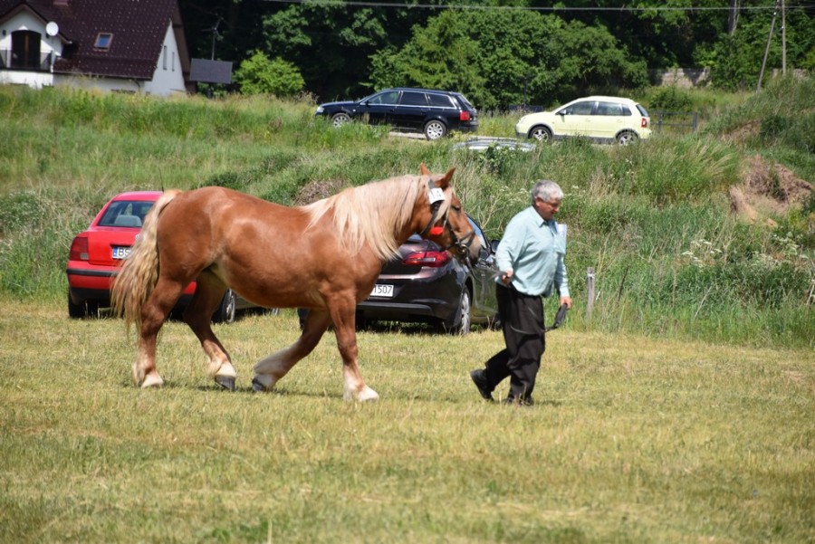dsc_1291.jpg