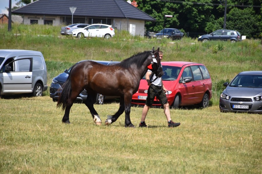 dsc_1292.jpg