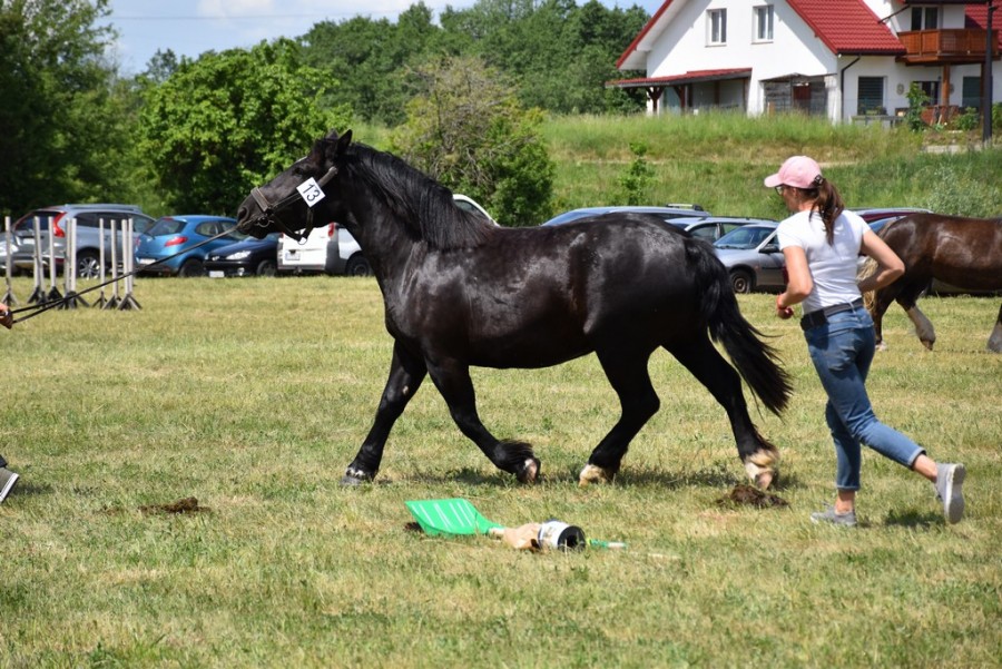 dsc_1294.jpg