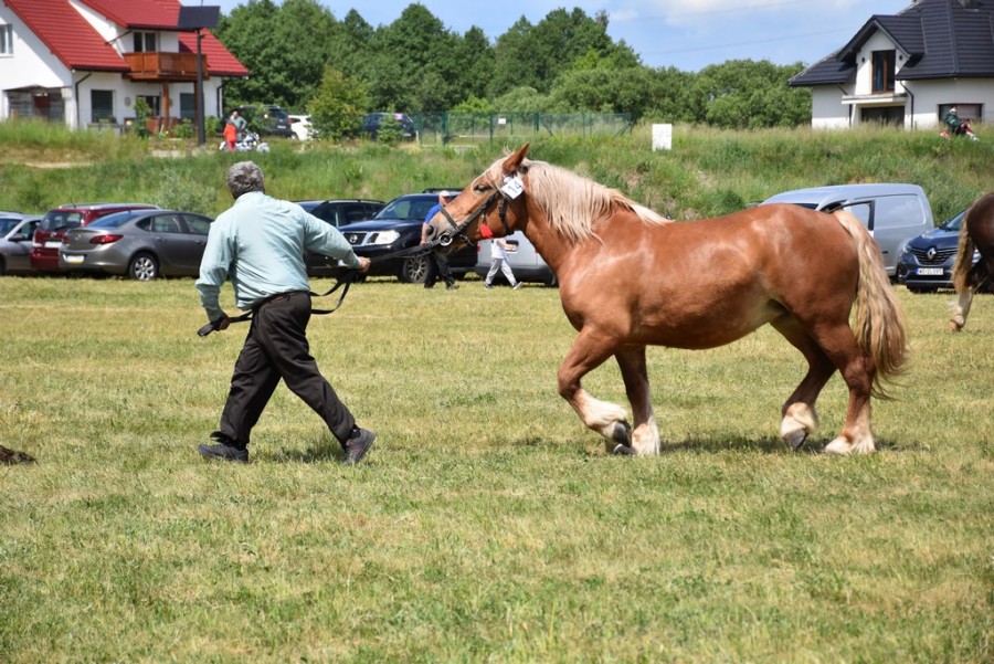dsc_1296.jpg