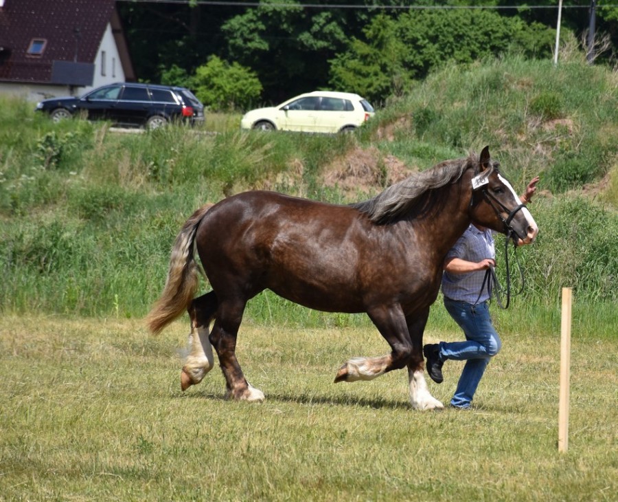 dsc_1298.jpg