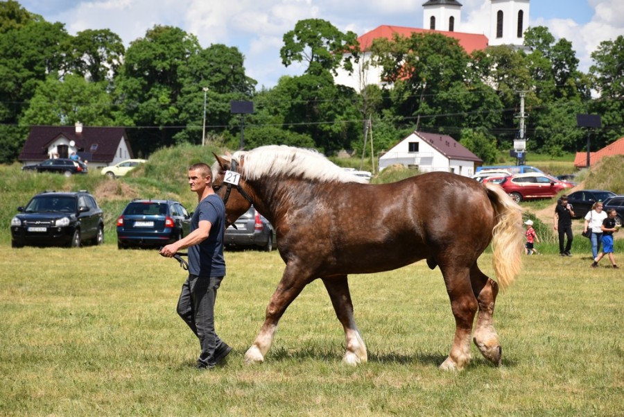 dsc_1302.jpg