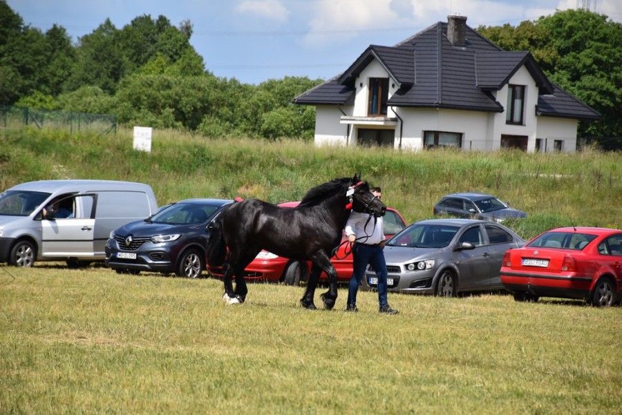dsc_1303.jpg
