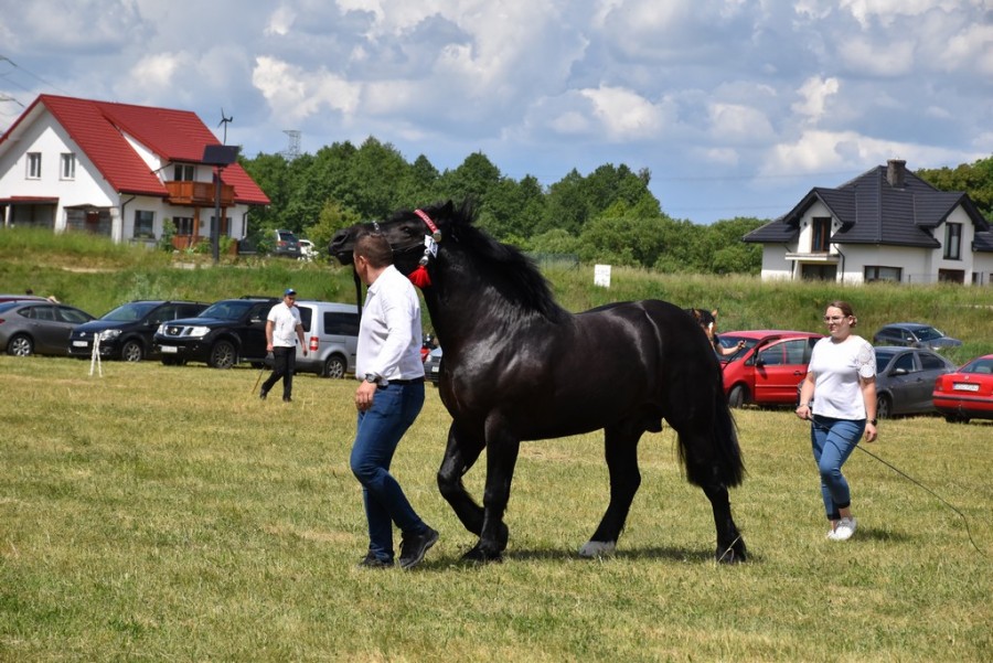 dsc_1304.jpg