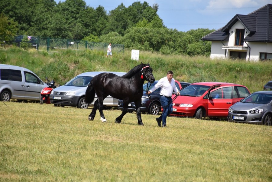 dsc_1310.jpg